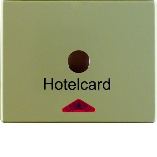 Berker Hotelcard Schaltaufsatz 16419011