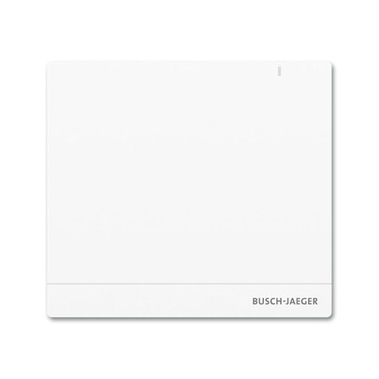 Busch-Jaeger System Access Point SAP/S.13 Nr. 2CKA006200A0154