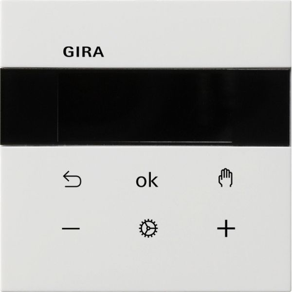 Gira Raumtemperaturregler Display Bluetooth 5394112