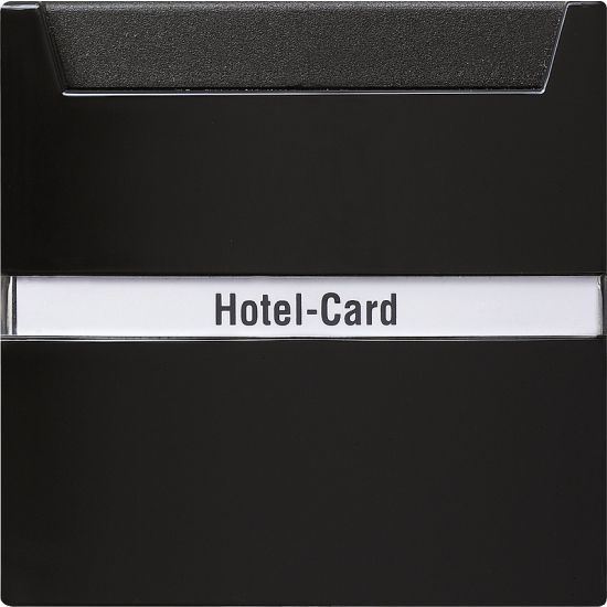 Gira Hotel-Card-Taster 014047