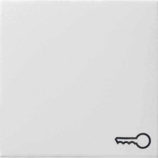 Gira Wippe Symbol Schlüssel 028703