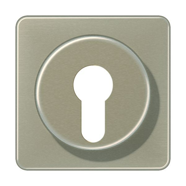 Jung Abdeckung Schlüsselschalter CD 528 GB EAN Nr. 4011377033306
