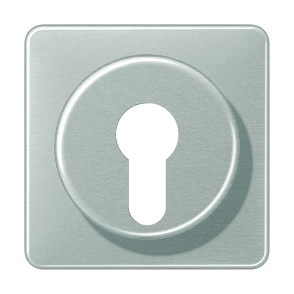 Jung Abdeckung Schlüsselschalter CD 528 PT EAN Nr. 4011377033801