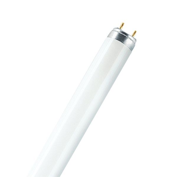 Ledvance Osram Leuchtstofflampe Stabform 517858 Typ L36W/865-FLH1 Energieeffizienz A