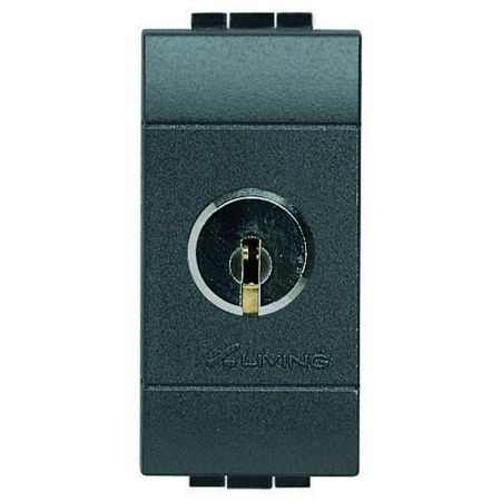 Bticino Schlüsselschalter L4012C 