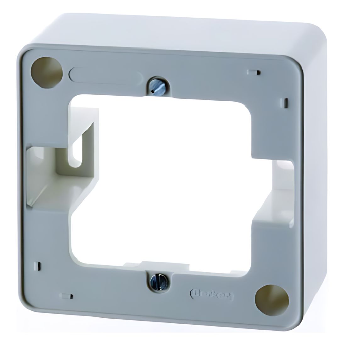Berker Aufputz Rahmen 10290069