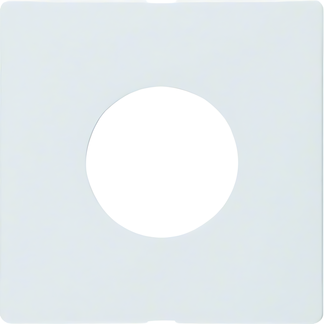 Berker Zentralstück 11246089