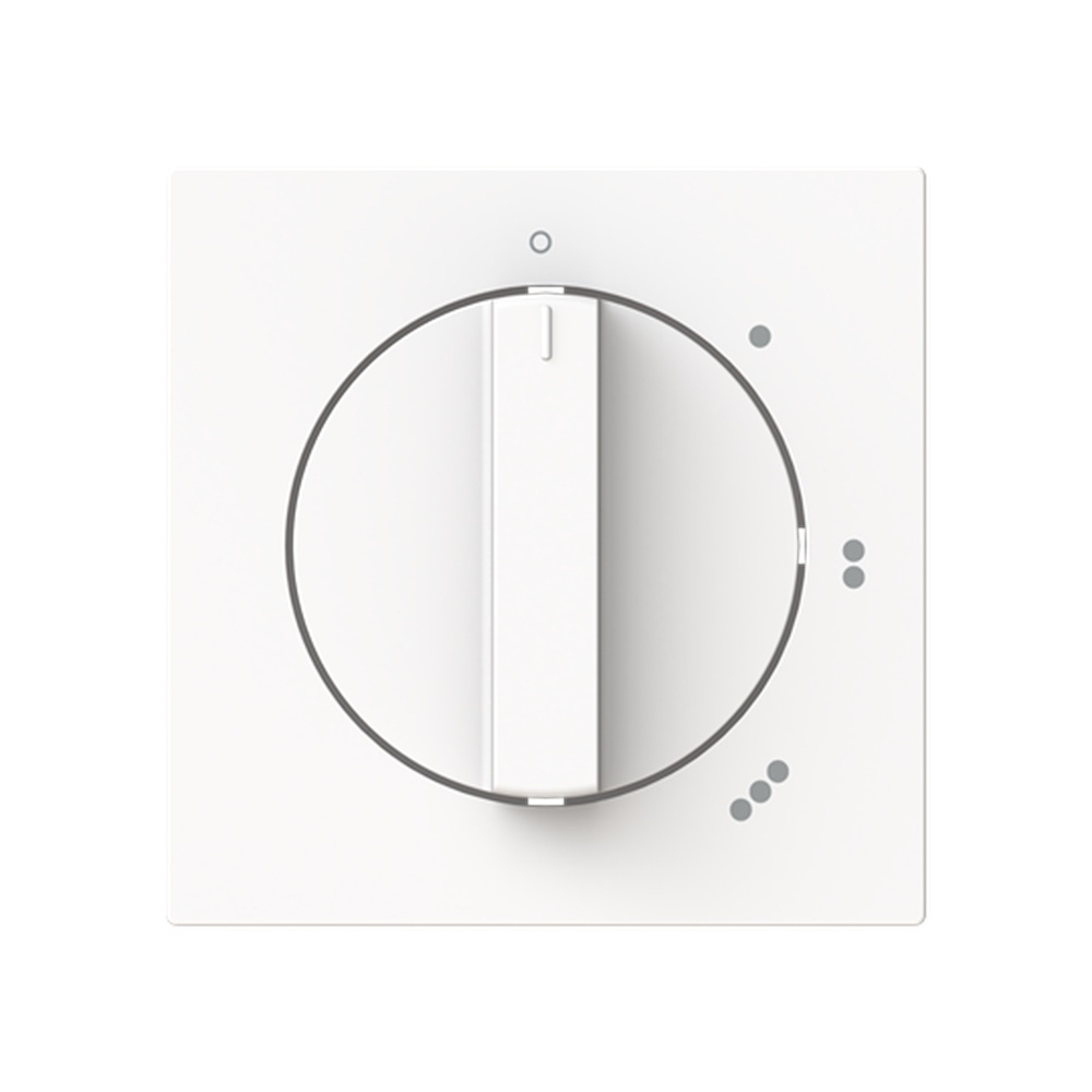 Busch-Jäger Zentralscheibe 2542 DR/01-44M Nr. 2CKA001710A4150