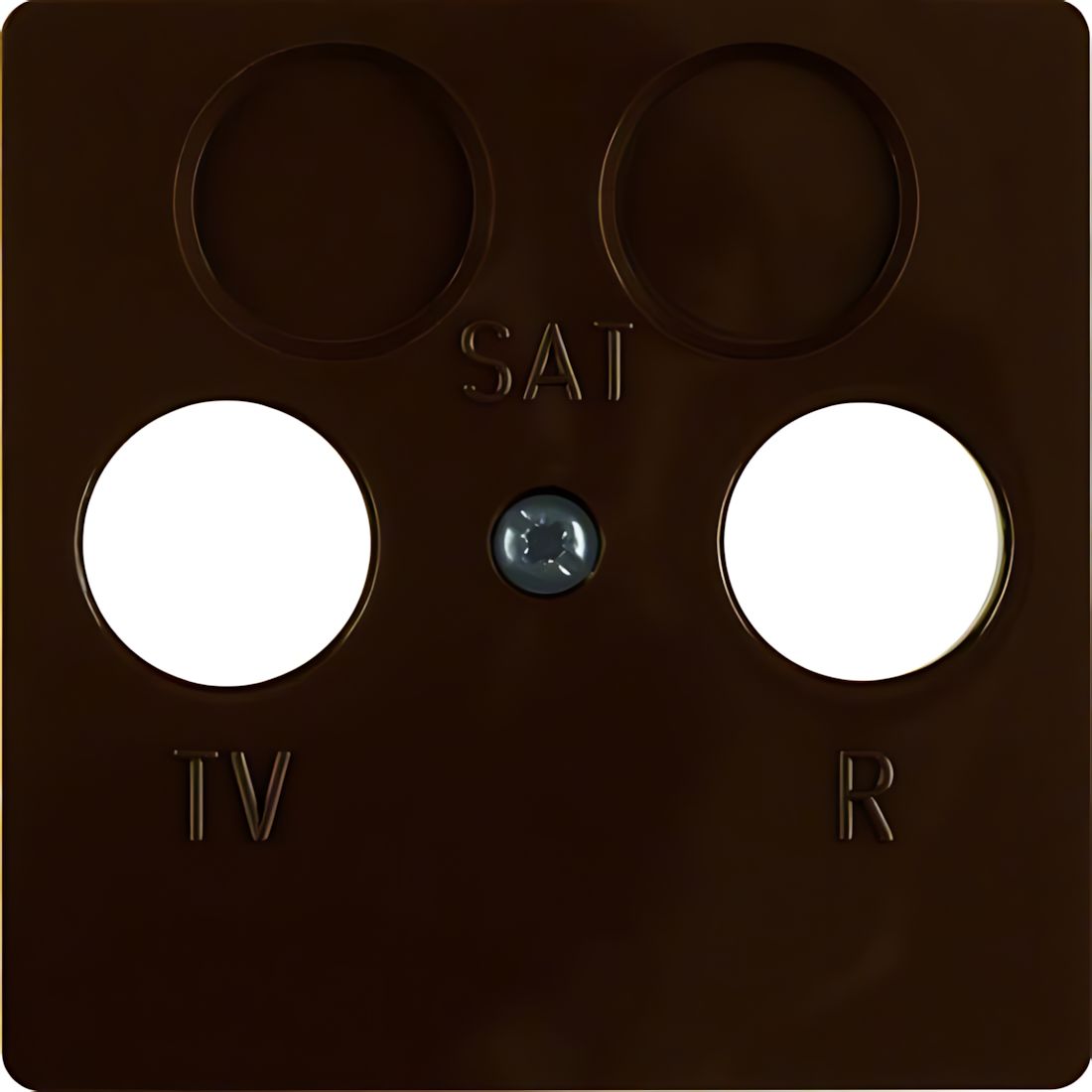 Berker Zentralplatte 148601