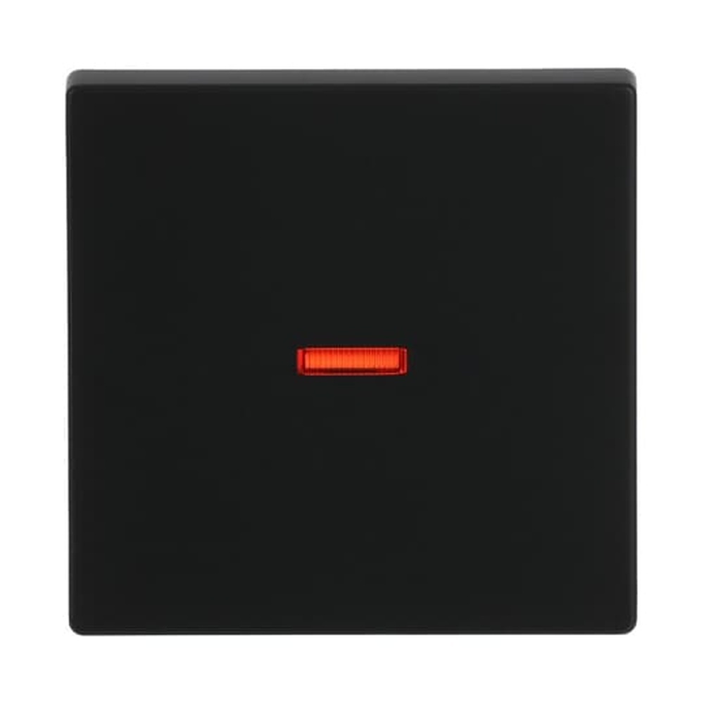 Busch-Jaeger Wippe 1789-885 Nr. 2CKA001751A3047