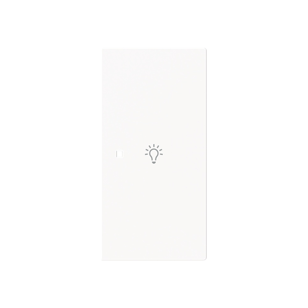 Busch-Jaeger Wippe 6231-22-44M Typ 2CKA006220A0953