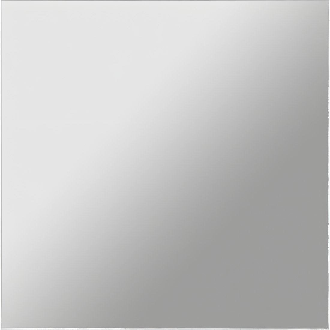 Gira Ersatzscheibe 009927