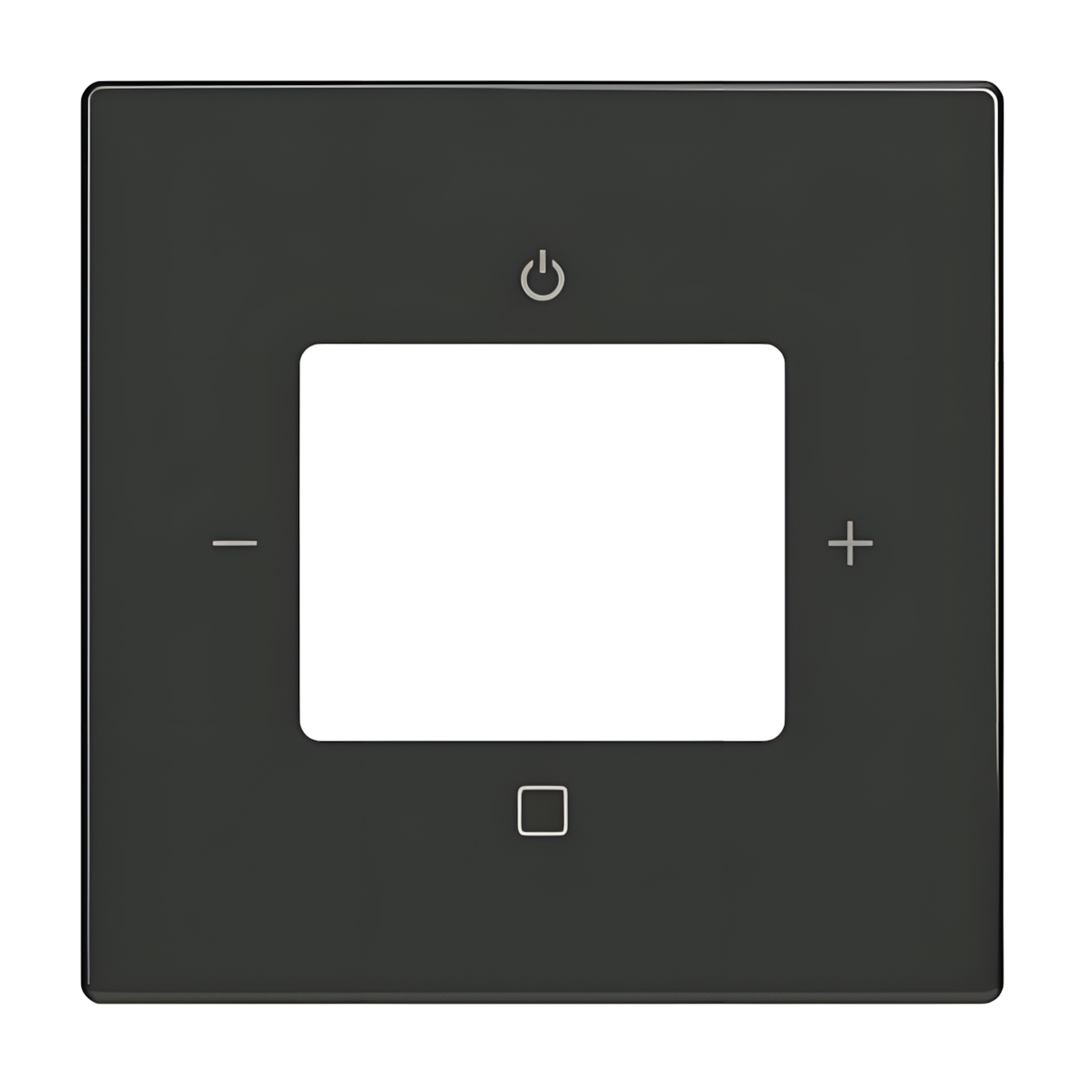 Busch-Jaeger Zentralscheibe 8252-81-101 Nr. 2CKA008200A0248