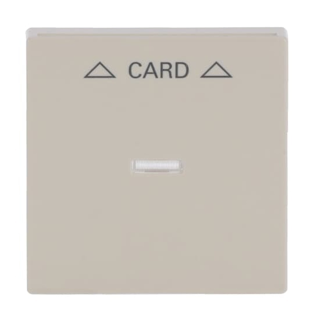 Busch-Jaeger Zentralscheibe 1792-82 Nr. 2CKA001710A3640