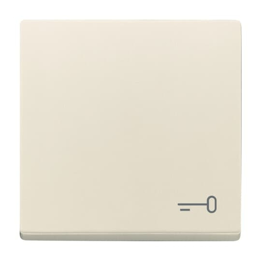 Busch-Jaeger Wippe 2520 TR-82 Nr. 2CKA001751A3197