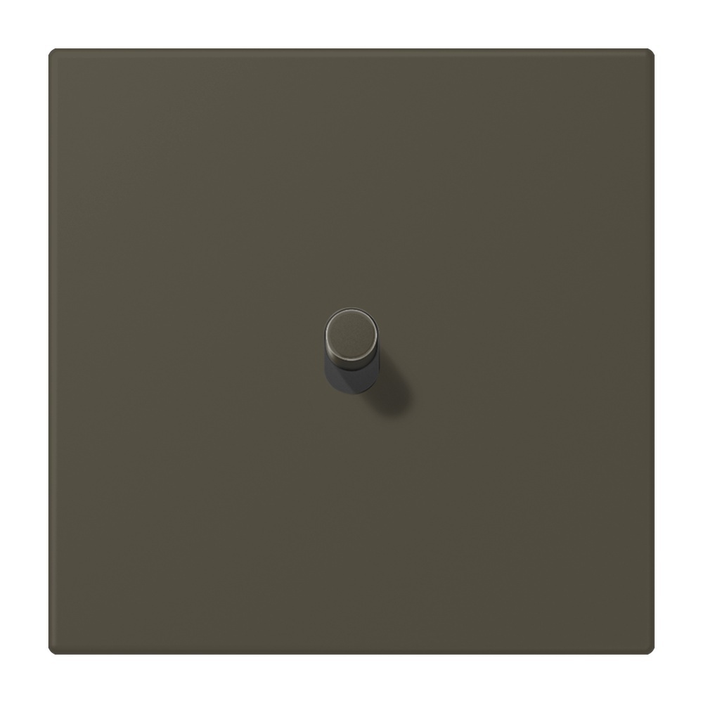 Jung Abdeckung LC12-0R0241