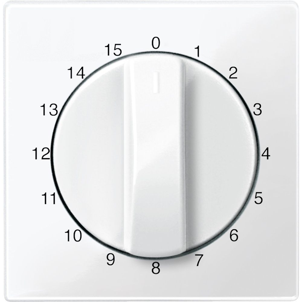 Merten Zentralplatte 567419