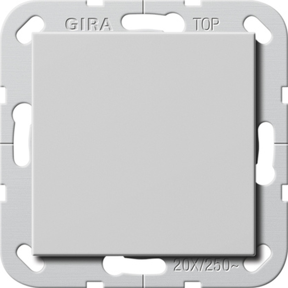 Gira Wippschalter 2836015