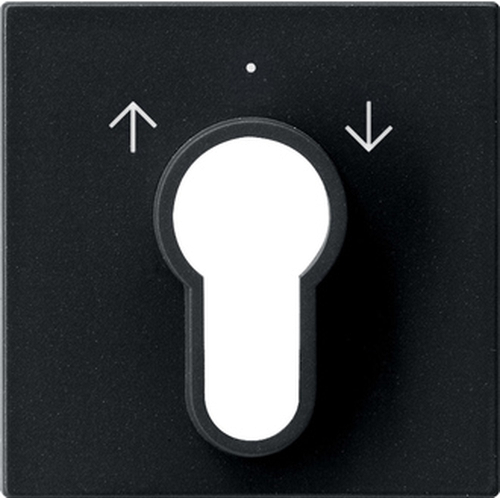 Gira Abdeckung 0664005