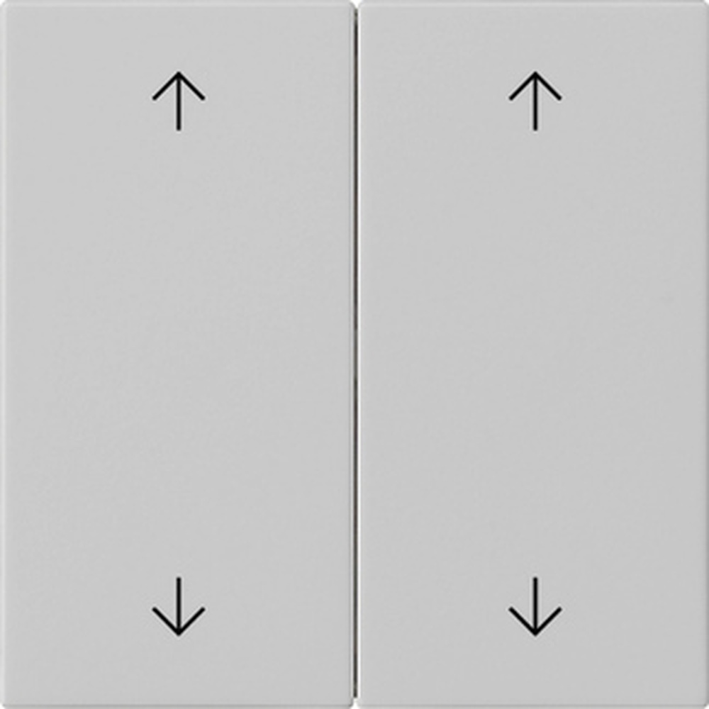 Gira Wippe 2fach 5387015