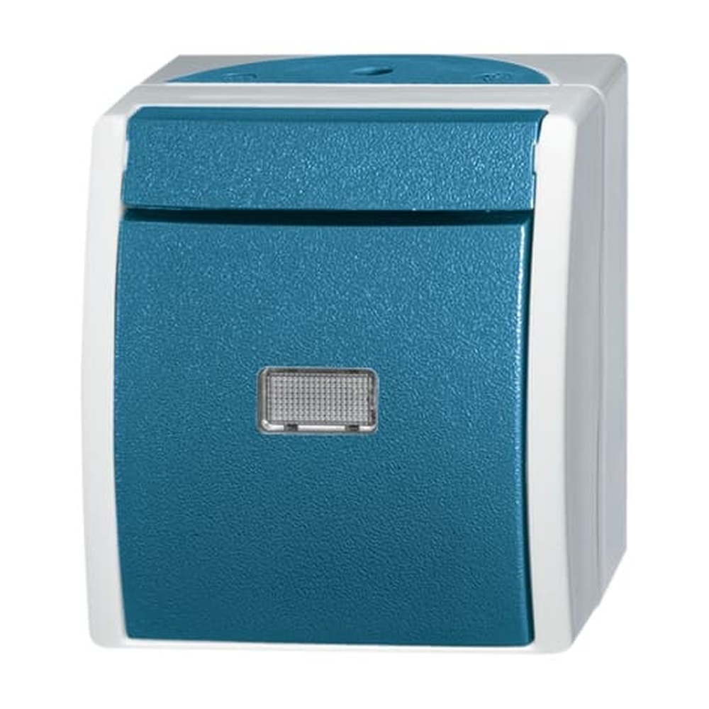 Busch-Jaeger Wipptaster 2621 WGL-53 Nr. 2CKA001484A0371