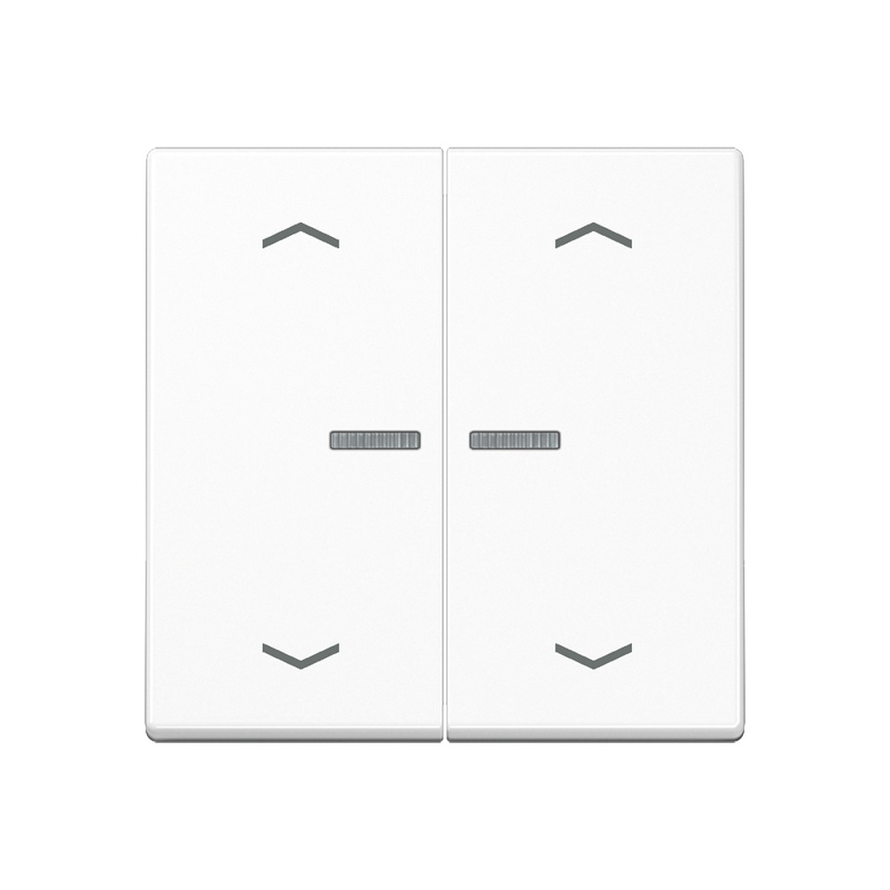 Jung Serienwippe m. Lichtleiter A102KO5PBFWW