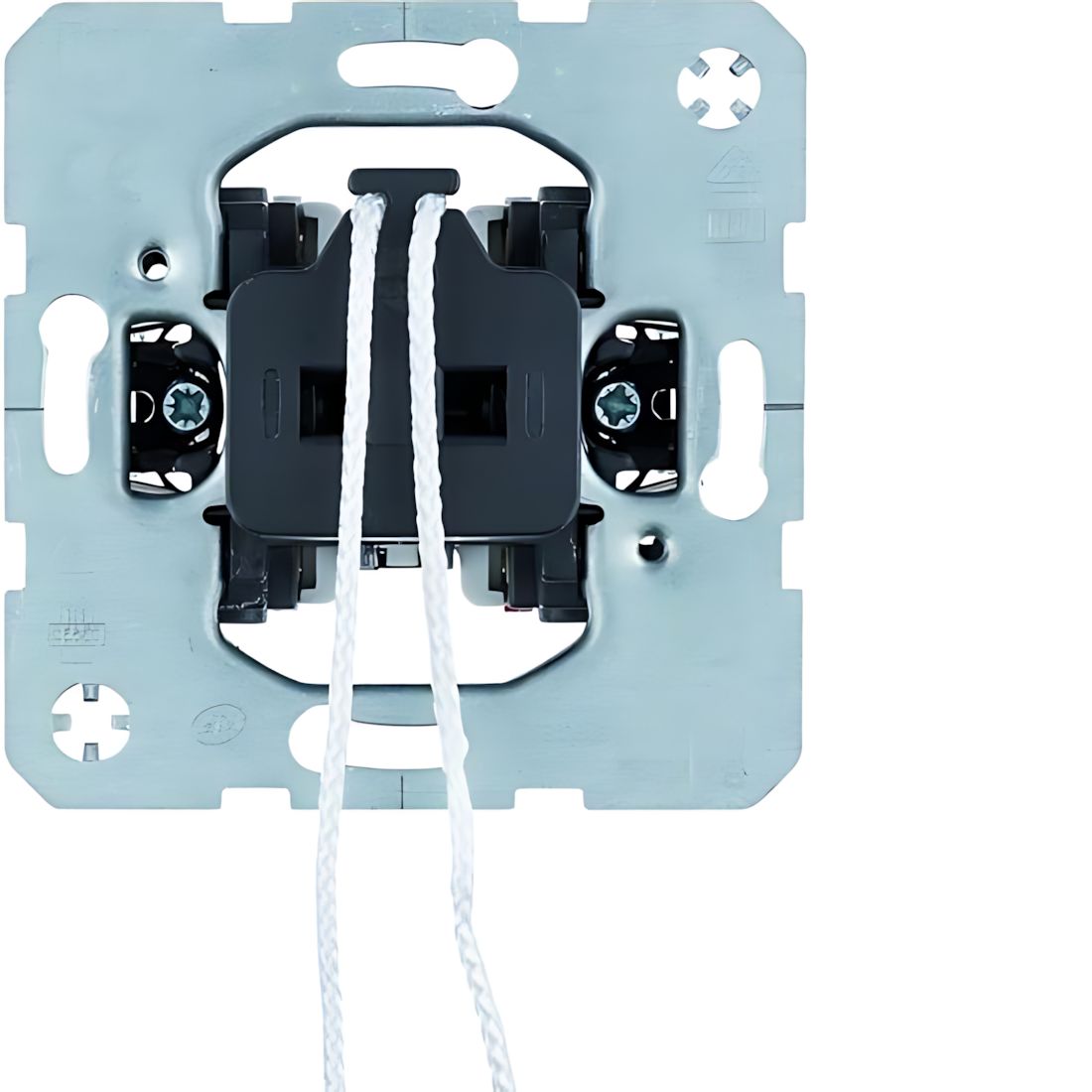 Berker Zugtaster 395619