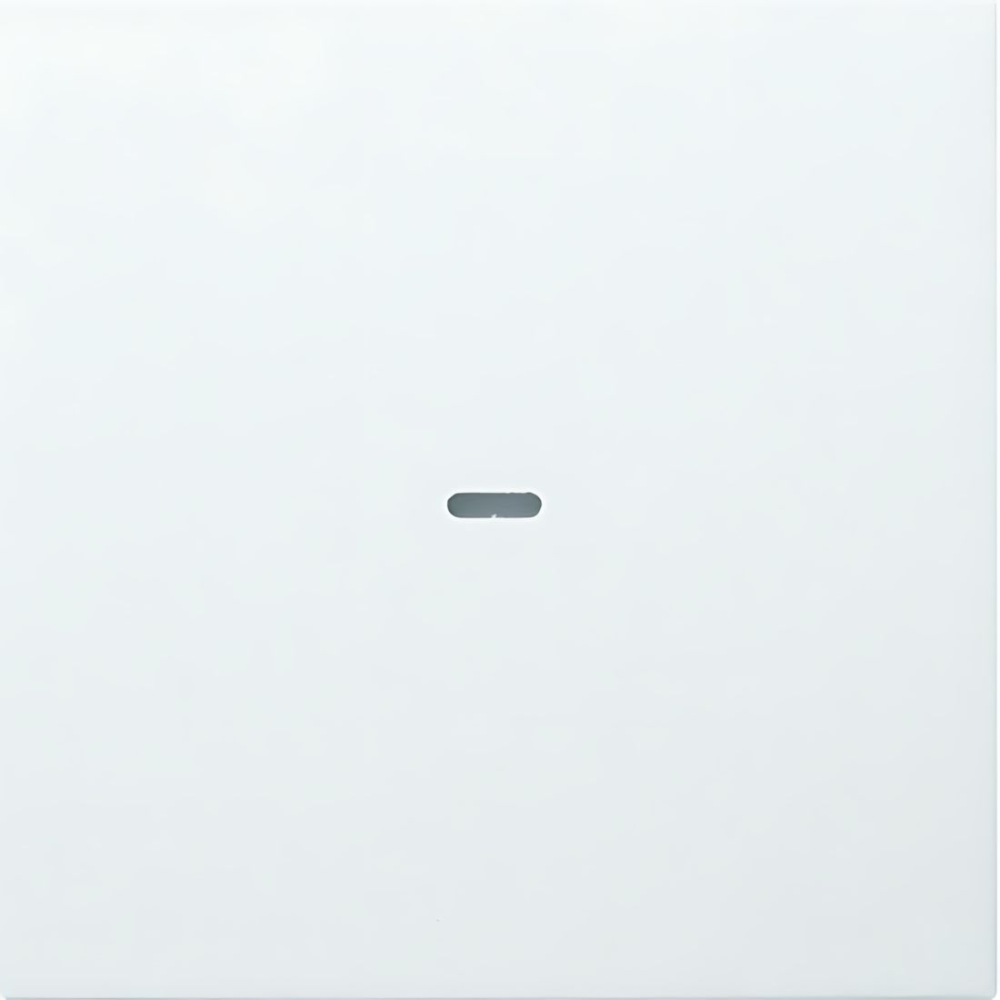 Berker Abdeckung 80960299