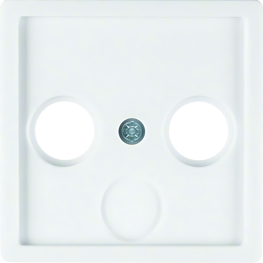 Berker Zentralstück 12036089