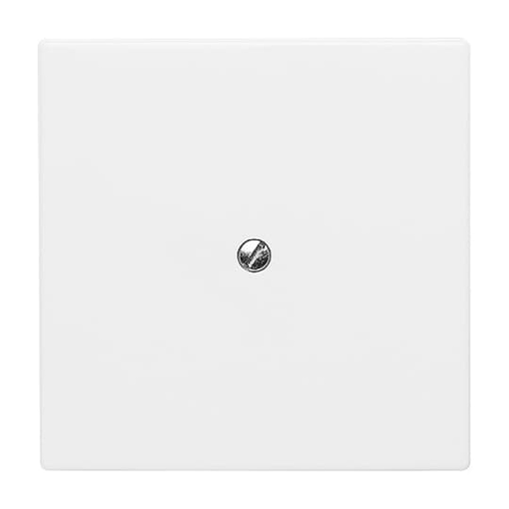 Busch-Jaeger Blindzentralscheibe 2138-34 Nr. 2CKA001710A1852