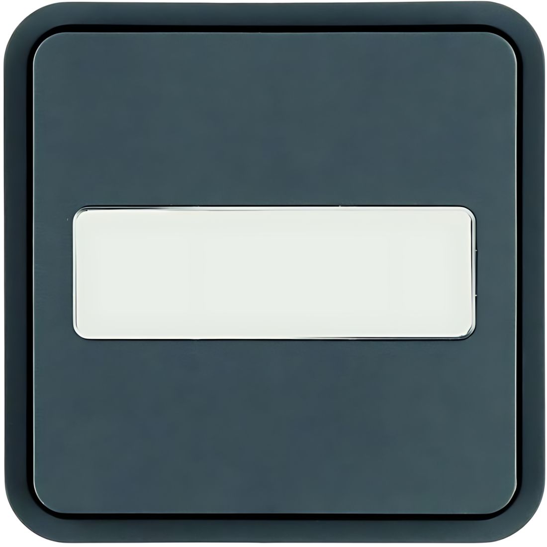 Berker Wippe 30763545