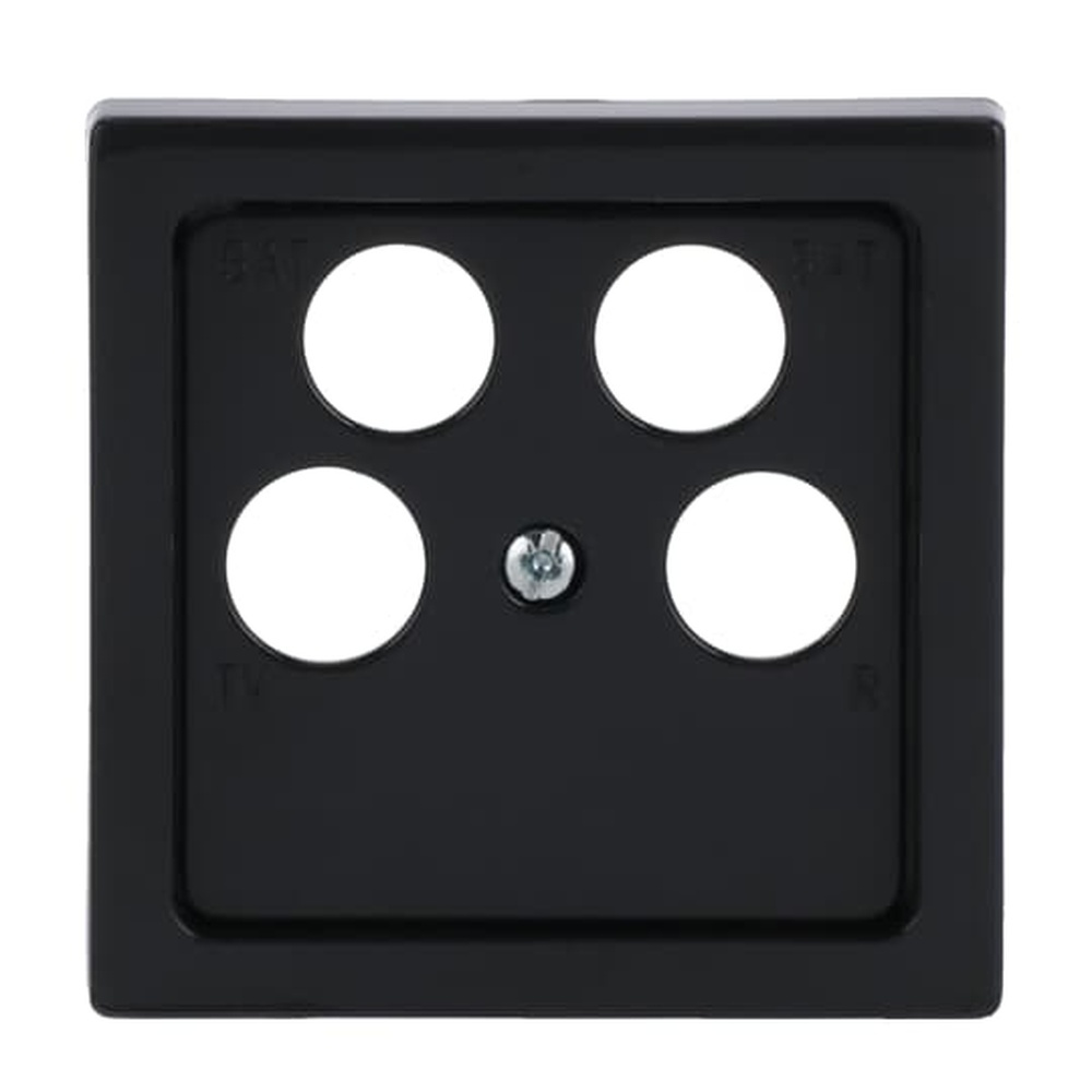 Busch-Jaeger Zentralscheibe 1743/10-04-81 Nr. 2CKA001724A4365