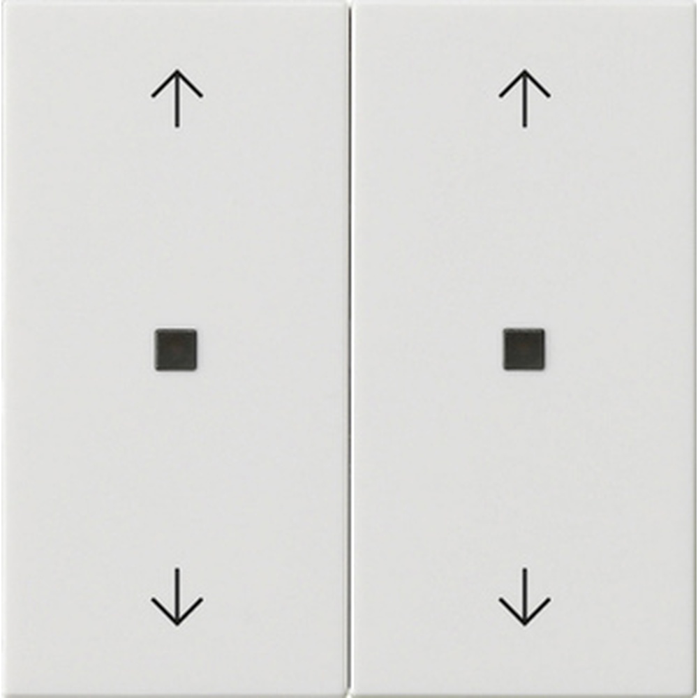 Gira Wippe 2fach 538603