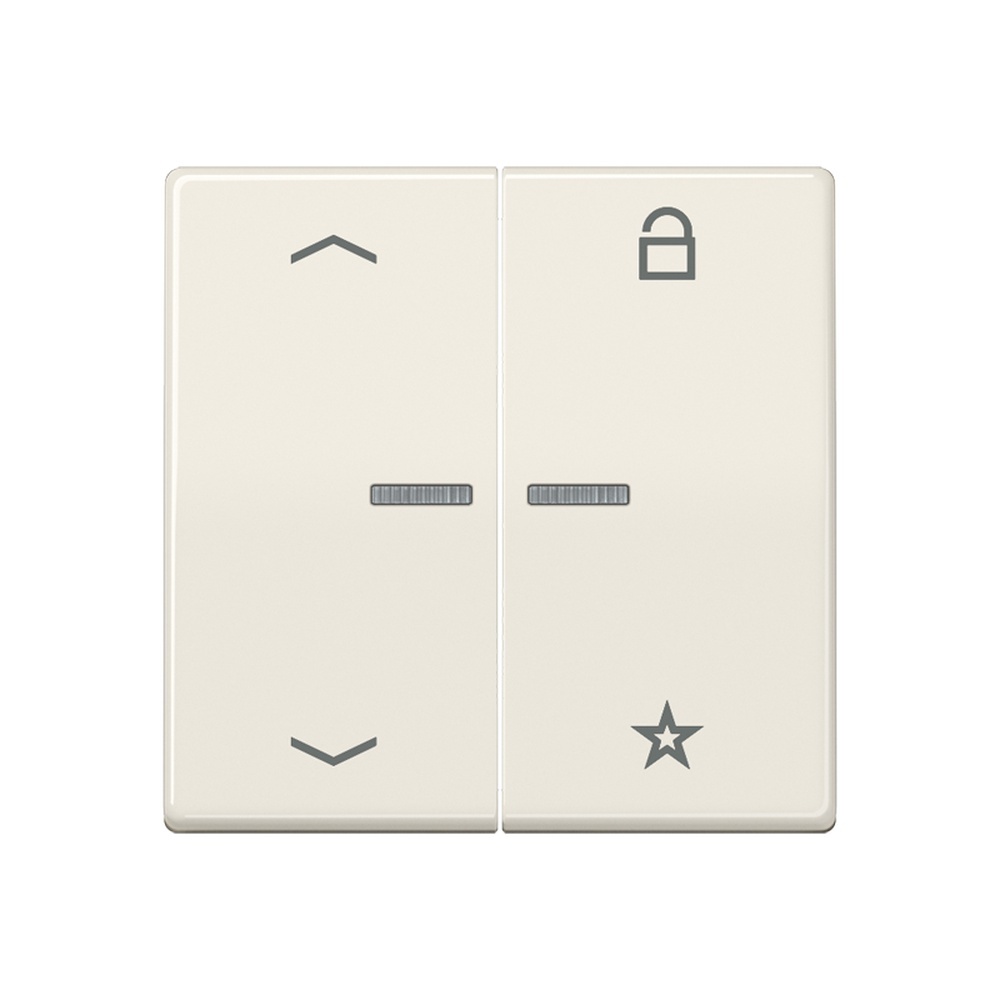 Jung eNet Funk Steuertaste FMAS1701P