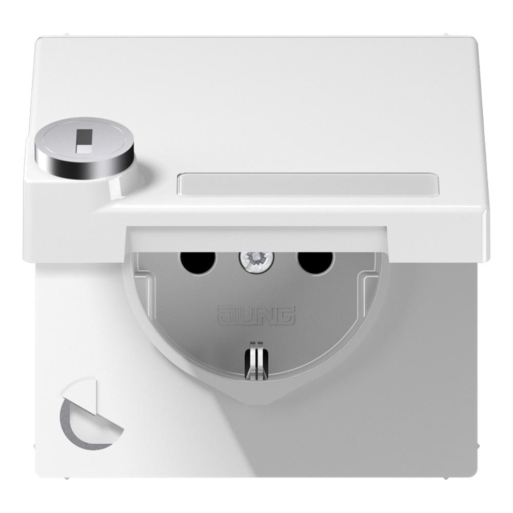 Jung Schutzkontakt Steckdose LS 1520 NAKLSL WW