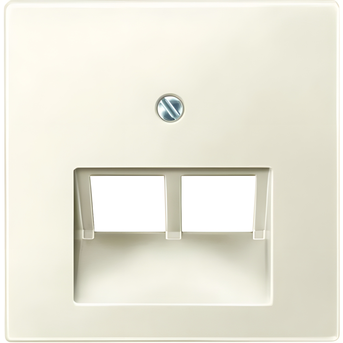 Merten Zentralplatte 298044