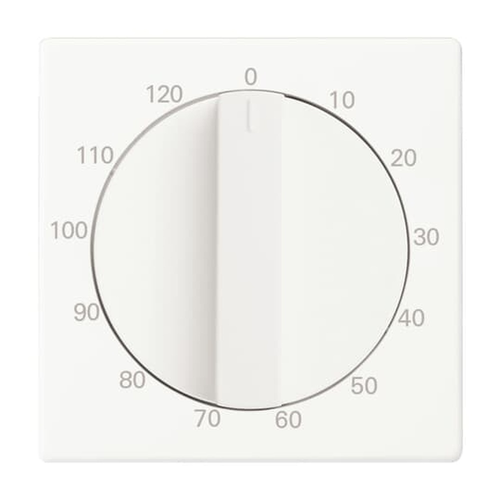 Busch-Jaeger Zentralscheibe 1771-884-103 Nr. 2CKA001753A0303