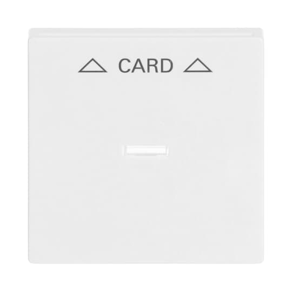 Busch-Jaeger Zentralscheibe 1792-84 Nr. 2CKA001710A3641