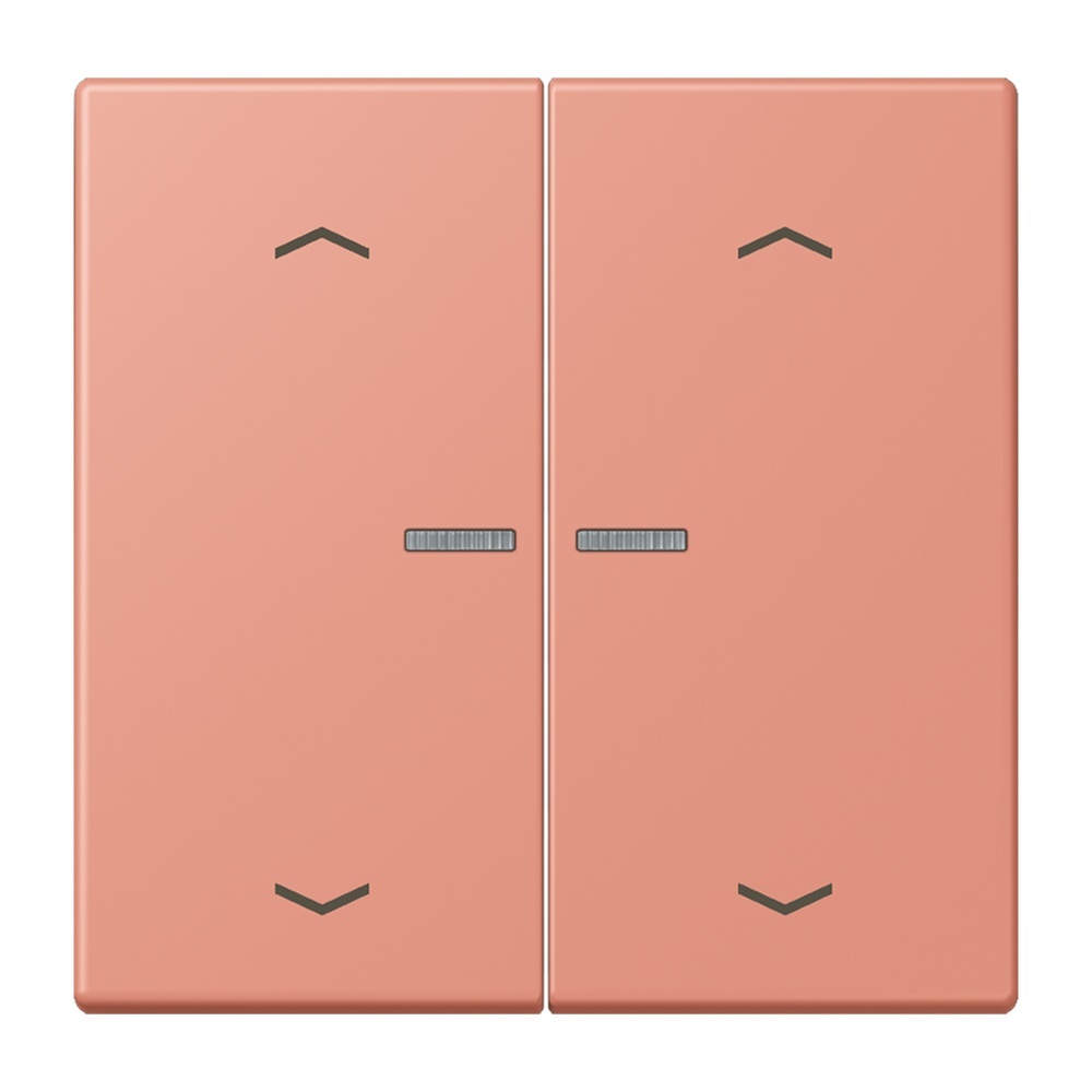 Jung Wippe mit Lichtleiter LC102KO5P233