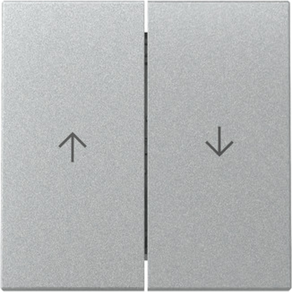 Gira Wippe 2fach 329426