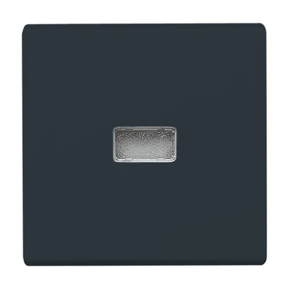 Busch-Jaeger Wippe 2107-35 Nr. 2CKA001731A1742