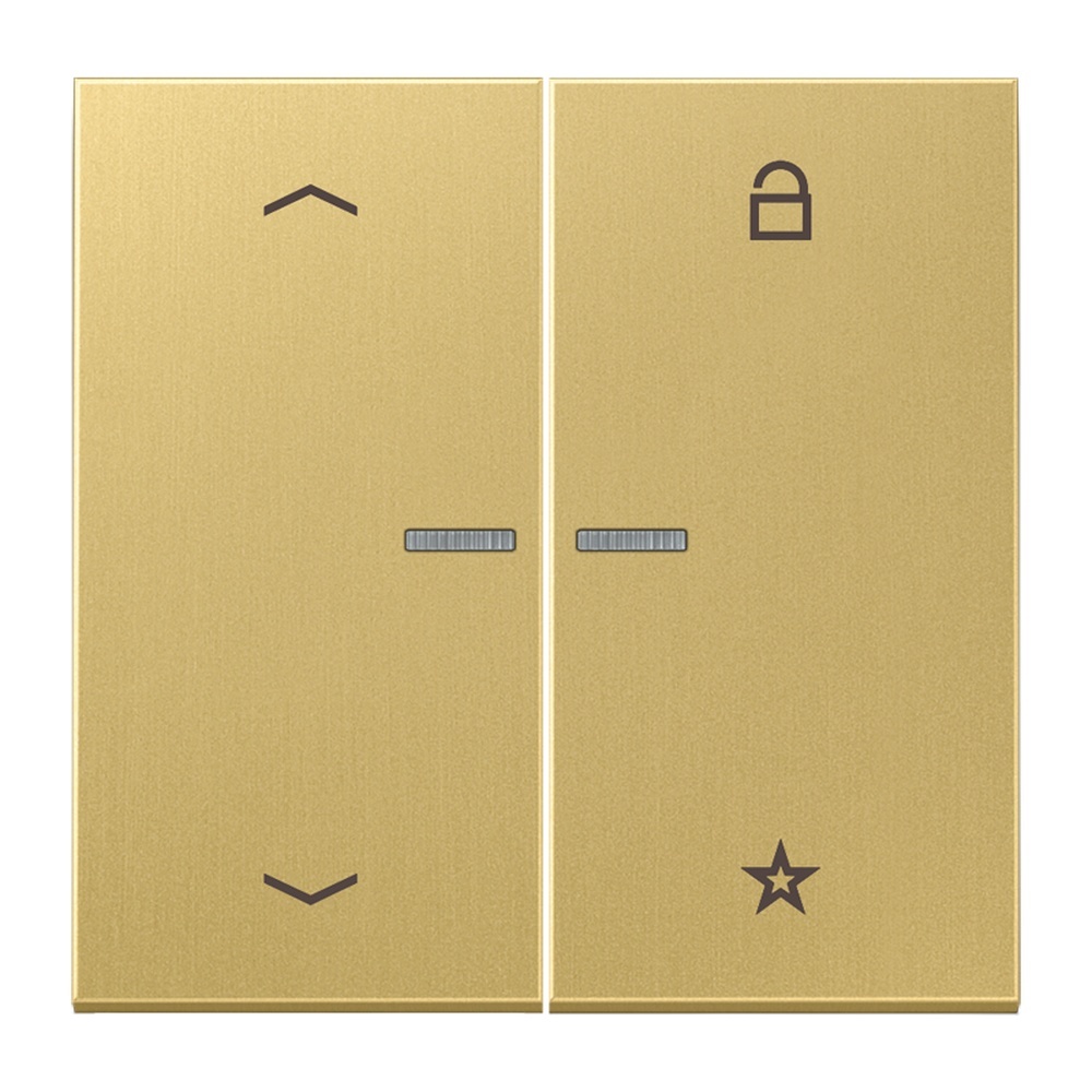 Jung eNet Funk Steuertaste FMME1701PC