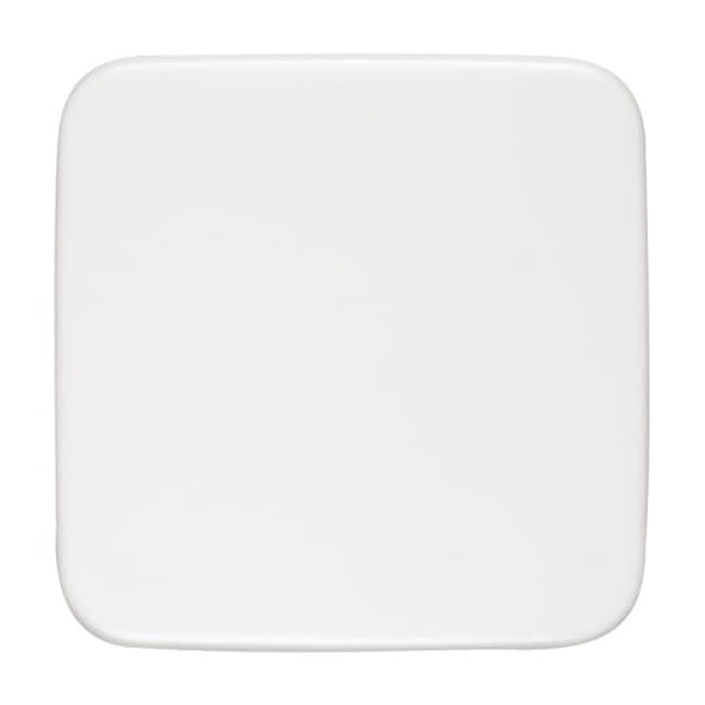 Busch-Jaeger Blindzentralscheibe 1576 C-214 Nr. 2CKA001582A0354