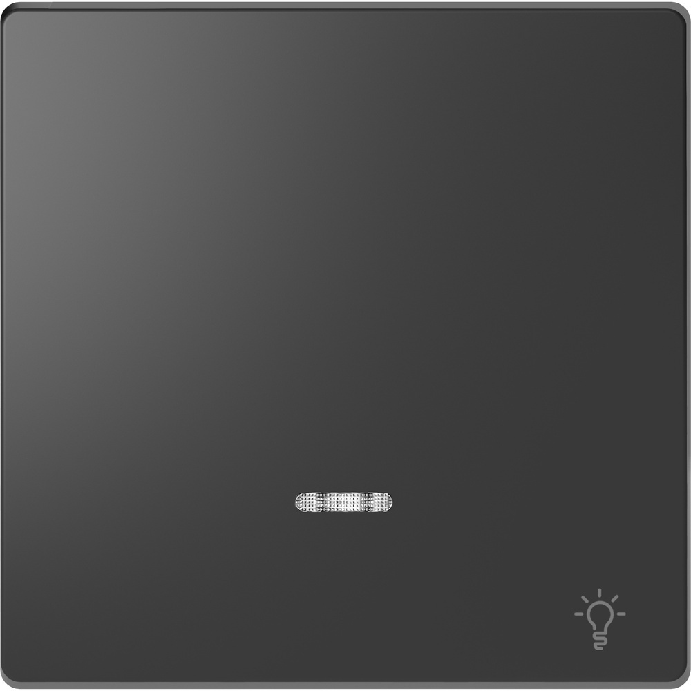 Merten Wippe Licht MEG3322-6034