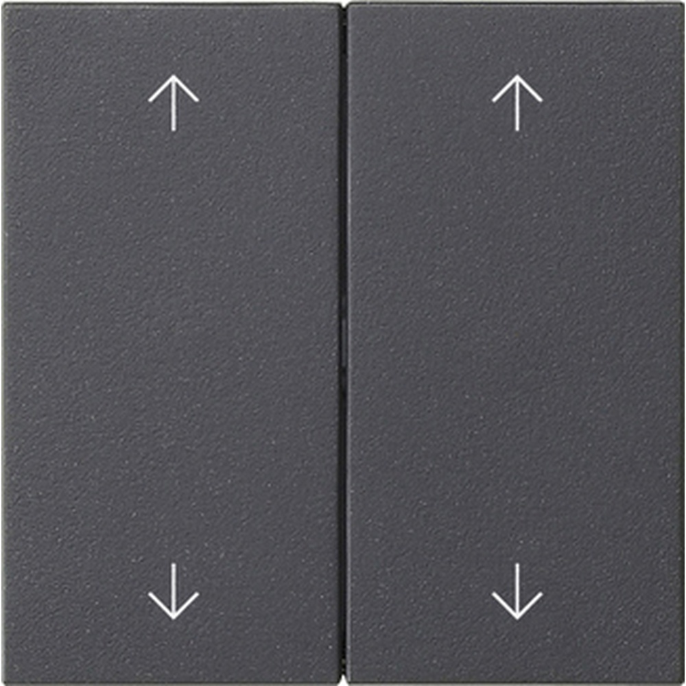 Gira Wippe 2fach 538728