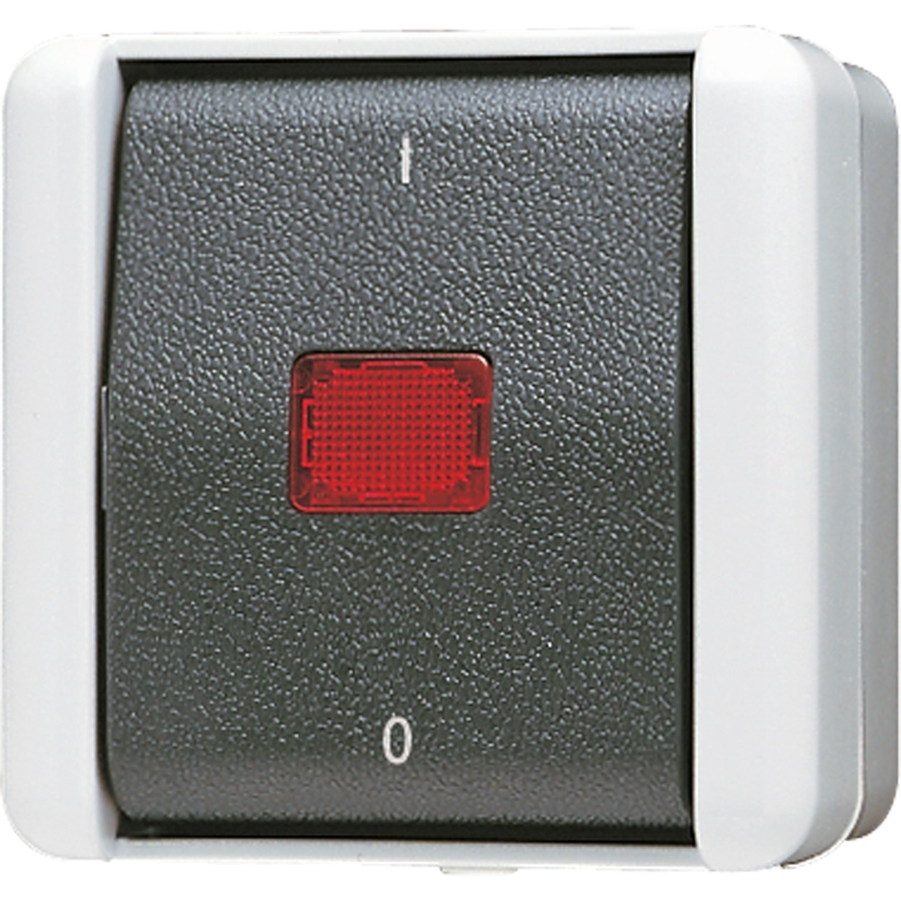 Jung Wipp Kontrollschalter 802 KOW