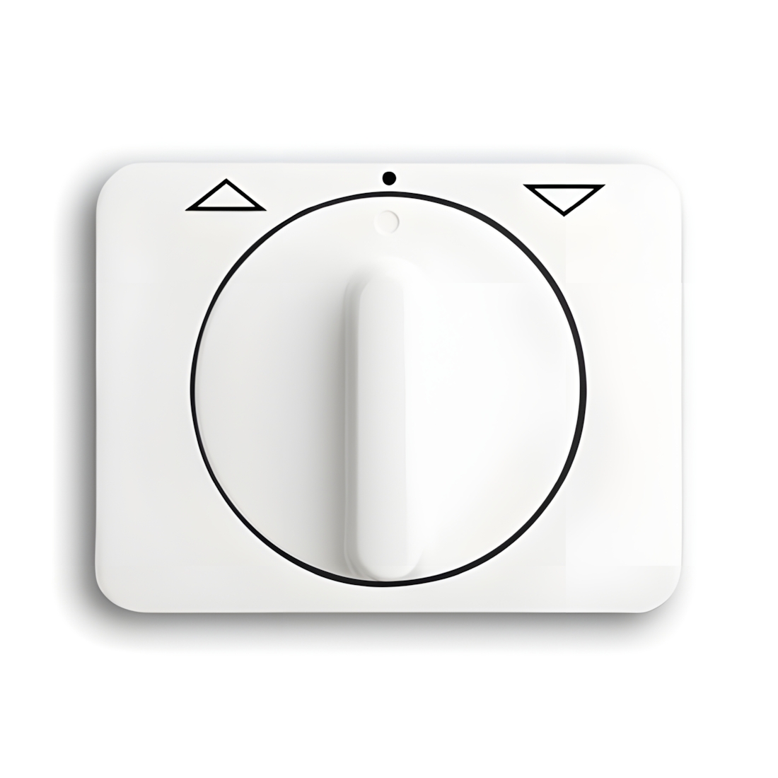 Busch-Jaeger Zentralscheibe 1740 DR-24G Nr. 2CKA001753A7263