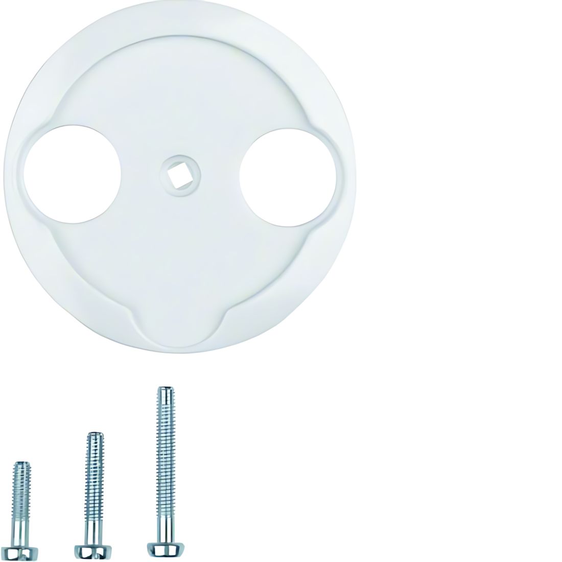 Berker Zentralstück 103920