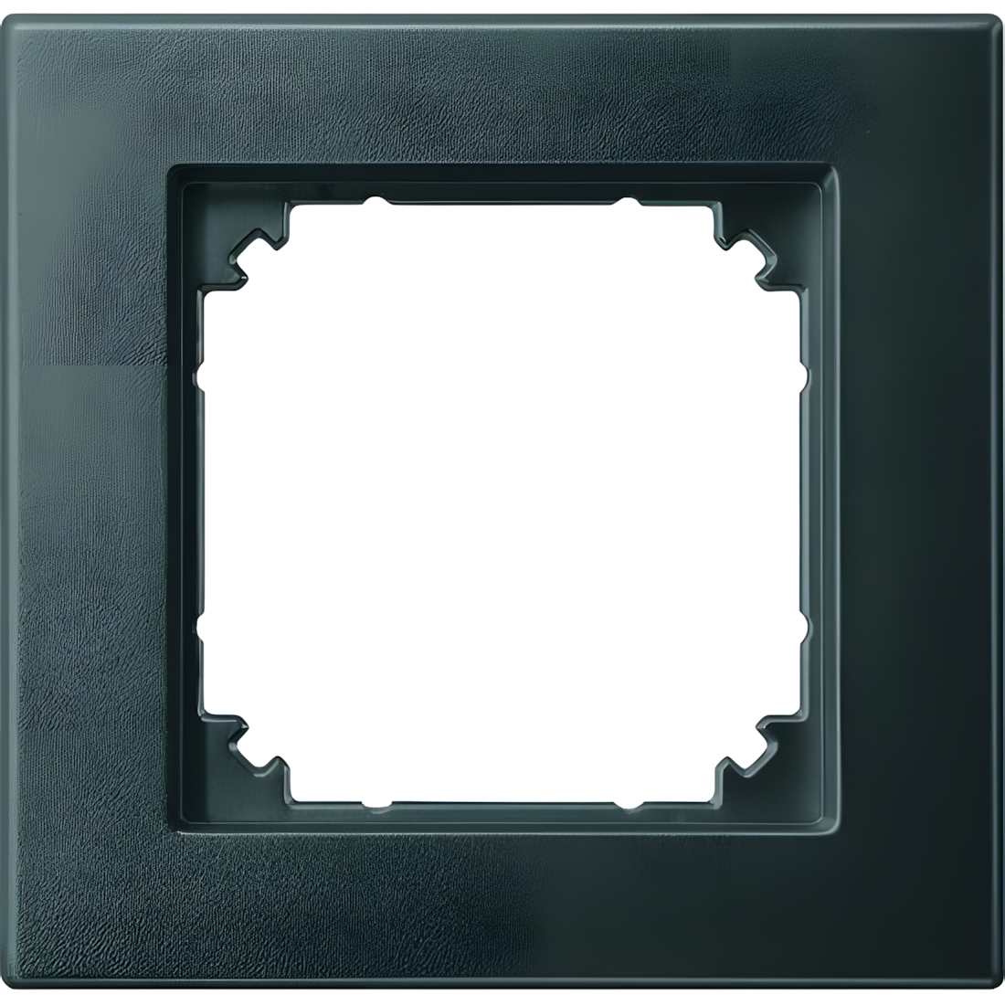 Merten Rahmen 1fach 488114