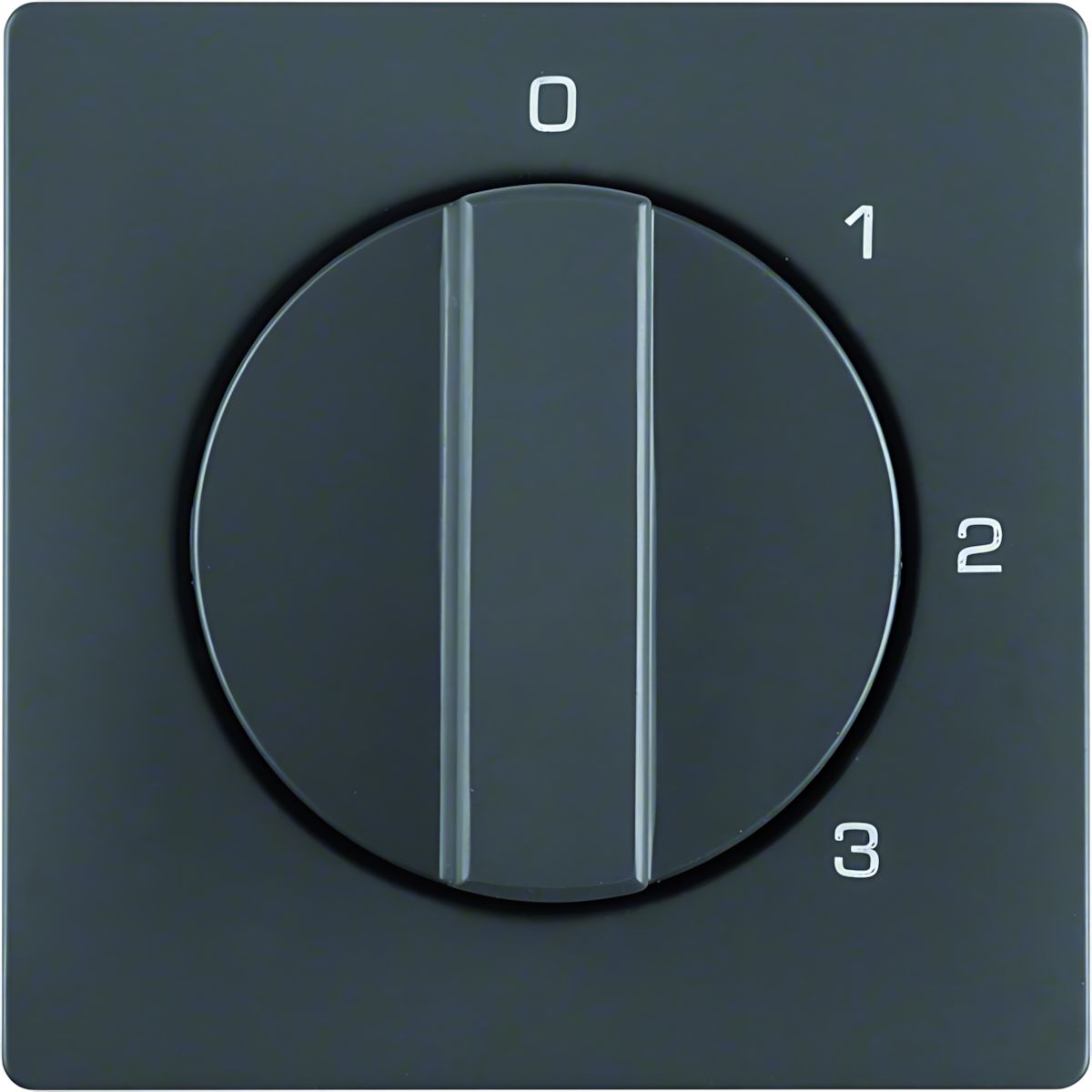 Berker Zentralstück m. Drehknopf 1096608600